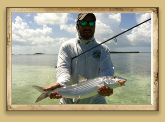Bonefish - They don't call them the grey ghosts of the flats for nothing.