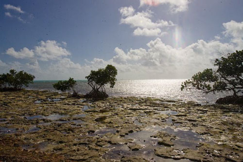 florida keys photography, photos, key west fly fishing guides, Ft. Jefferson state park, key west flats fishing guides, lower keys fly fishing, permit, tarpon, bonefishing, big pine key, cudjoe key, summerland key