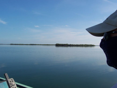 florida keys flats fishing guide photo, Ft. Jefferson state park, key west flats fishing guides, lower keys fly fishing, permit, tarpon, bonefishing, big pine key, cudjoe key, summerland key
