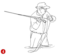 fly fishing in the florida keys & key west, flats fishing charters, fly fishing guide, big pine key, cudjoe key, summerland, lower florida keys